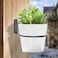 Jiozermi 2 Pack 6 inch Flower Pot Holder Ring Flower Pot Holder Ring Wall Mounted Set Wall Mounted Metal Planter Hanger Matte Black Hanging Plant Holder
