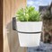 Jiozermi 2 Pack 6 inch Flower Pot Holder Ring Flower Pot Holder Ring Wall Mounted Set Wall Mounted Metal Planter Hanger Matte Black Hanging Plant Holder