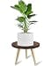 Tuohours 10IN Tall Plant Stand Holder for Indoor Planters Mid Century Small Round Wood Table for Living Room Corner Floor