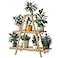 Furshus Bamboo Plant Stand IndoorOutdoor 3 Tier Plant Ladder 8 Potted Flower Holder Natural