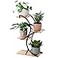 COPREE Bamboo 4Tier Plant Stand Rack Multiple Flower Pot Holder Shelf Indoor Outdoor Planter Display Shelving Unit for Patio Garden Corner Balcony Living Room