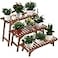 Ufine Freestanding 3 Tier Ladder Shelf Wood Plant Stand Indoor Outdoor Plant Display Rack Flower Pot Holder Planter Organizer