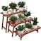 Ufine Freestanding 3 Tier Ladder Shelf Wood Plant Stand Indoor Outdoor Plant Display Rack Flower Pot Holder Planter Organizer