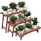 Ufine Freestanding 3 Tier Ladder Shelf Wood Plant Stand Indoor Outdoor Plant Display Rack Flower Pot Holder Planter Organizer