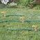 Hourleey 8 Pack 12 inch Zinc Alloy Lawn Sprinkler Spike Base Water Flow Thru Sprinkler for Yard Lawn Garden and Grass Irrigation
