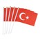ZxxVZG 5 Pack Turkey Mini HandHeld Stick FlagSuitable For Various Holiday PartiesAnd National Flag Day