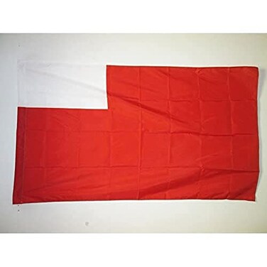 AZ FLAG Abu Dhabi Flag 2 x 3 for a pole UAE Emirate of Abu Dhabi flags 60 x 90 cm Banner 2x3 ft with hole