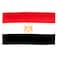 AZ FLAG Egypt Flag 3x5 Ft Light Polyester Egyptian Banner with Two Brass Eyelets Fade Resistant Vivid Colors 3 x 5 Feet 150x90 Cm