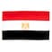AZ FLAG Egypt Flag 3x5 Ft Light Polyester Egyptian Banner with Two Brass Eyelets Fade Resistant Vivid Colors 3 x 5 Feet 150x90 Cm