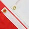 AZ FLAG Poland Flag 2x3 Ft Light Polyester Polish Banner with Two Brass Eyelets Fade Resistant Vivid Colors 2 x 3 Feet 90x60 Cm