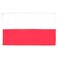 AZ FLAG Poland Flag 2x3 Ft Light Polyester Polish Banner with Two Brass Eyelets Fade Resistant Vivid Colors 2 x 3 Feet 90x60 Cm