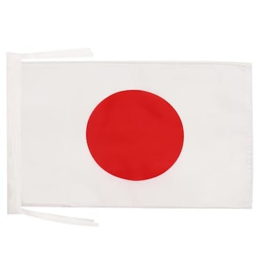 AZ FLAG Japan Flag 18 x 12 cords Japanese SMALL flags 30 x 45cm Banner 18x12 in