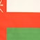 AZ FLAG Oman Flag 18 x 12 cords Omani SMALL flags 30 x 45cm Banner 18x12 in