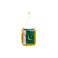 AZ FLAG Pakistan mini Banner 6 x 4 Pakistani PENNANT 15 x 10 cm mini Banners 4x6 inch suction cup hanger