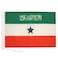 AZ FLAG Somaliland Flag 18 x 12 cords Somaliland SMALL flags 30 x 45cm Banner 18x12 in