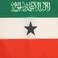 AZ FLAG Somaliland Flag 18 x 12 cords Somaliland SMALL flags 30 x 45cm Banner 18x12 in