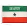 AZ FLAG Somaliland Flag 18 x 12 cords Somaliland SMALL flags 30 x 45cm Banner 18x12 in
