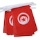 AZ FLAG Tunisia 4 meters BUNTING Flag 20 flags 6 x 4 Tunisian STRING flags 10 x 15 cm