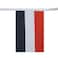 AZ FLAG Yemen 6 meters BUNTING Flag 20 flags 9 x 6 Yemeni STRING flags 15 x 21 cm