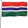 DANF FLAG DANF Gambia Flag 3x5 Ft Thick Polyester Fade Resistant Brass Grommets Canvas Header Gambian National Flags with 3 X 5 Feet