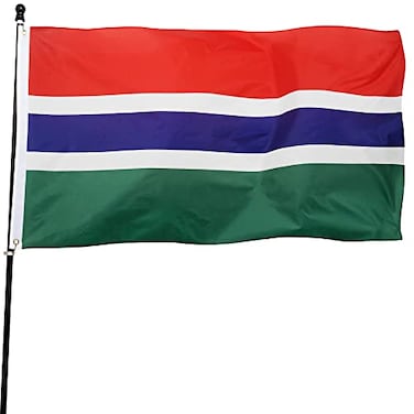 DANF FLAG DANF Gambia Flag 3x5 Ft Thick Polyester Fade Resistant Brass Grommets Canvas Header Gambian National Flags with 3 X 5 Feet