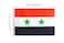 ZxxVZG Syria Syrian String Banner Flag55 x 82 Inch String BannerIndoor and Outdoor Party Decorations16 ft 20 Mini Flags