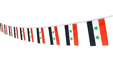 ZxxVZG Syria Syrian String Banner Flag55 x 82 Inch String BannerIndoor and Outdoor Party Decorations16 ft 20 Mini Flags