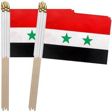TSMD Republic of Syria Flag Syrian Arab Small Mini Hand Held Flags5x8 Inch12 Pack