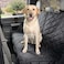 4Knines Crew Cab Truck Seat Cover with Dog Hammock for Fold Up Seats Split Design for Seat Access Waterproof NonSlip Protection Passenger Side Black