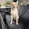 4Knines Crew Cab Truck Seat Cover with Dog Hammock for Fold Up Seats Split Design for Seat Access Waterproof NonSlip Protection Passenger Side Black