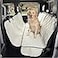 4Knines Crew Cab Truck Seat Cover with Dog Hammock for Fold Up Seats Split Design for Seat Access Waterproof NonSlip Protection Beige