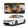 Gayruaicjz Funny Cat Car Windshield Sun Shade Foldable Sunshade Front Window Cover Sun Visor Protector Accessories 59x275 inches