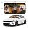 Gayruaicjz Funny Cat Car Windshield Sun Shade Foldable Sunshade Front Window Cover Sun Visor Protector Accessories 59x275 inches