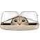 Oarencol Funny Cat Car Windshield Sun Shade Cute Animal Foldable UV Ray Sun Visor Protector Sunshade to Keep Your Vehicle Cool 55 x 276