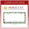 Invincibleframe Personalized License Plate Frame Butterfly Moth Beetle Stainless Steel Accessory Animal License Plate Holder Funny Car Decorative 2 Holes Fits Us Standard License Plates 122 X 63 in fo