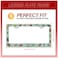Invincibleframe Personalized License Plate Frame Butterfly Moth Beetle Stainless Steel Accessory Animal License Plate Holder Funny Car Decorative 2 Holes Fits Us Standard License Plates 122 X 63 in fo