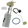 Delphi FG0099 Fuel Pump Module