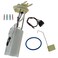 Delphi FG0099 Fuel Pump Module