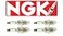 NGK Nkg Spark Plug Marine Watersport Br6fs 4323 Boxed