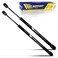 Tuff Support 2Piece Liftgate Tailgate Hatch Lift Supports 20052015 Nissan Xterra