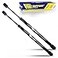 Tuff Support 2Piece Rear Gate Lift Supports Fits 20042008 Dodge Durango 20072009 Chrysler Aspen with Power Liftgate