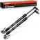 A-Premium APremium Rear Tailgate Lift Supports Gas Spring Shock Strut Compatible with Lexus LX570 20082011 20132015 Toyota Land Cruiser 20082011 20132017 2PC