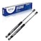 BOXI 2pcs Tailgate lift supports struts shocks gas struts shocks springs supports For Renault Megane MARK IMARK II 2003 2004 2005 2006 2007 2008 Replaces 8200051750