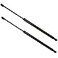 STETIG 2Pcs Rear Back liftgate tailgate Hatch trunk Struts Lift Supports Compatible With LEXUS 20072009 RX350 Note Shock Gas Spring Prop Rod