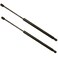STETIG 2Pcs Rear Back liftgate tailgate Hatch trunk Struts Lift Supports Compatible With LEXUS 20072009 RX350 Note Shock Gas Spring Prop Rod