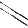 STETIG 2Pcs Rear Back liftgate tailgate Hatch trunk Struts Lift Supports Compatible With LEXUS 20072009 RX350 Note Shock Gas Spring Prop Rod
