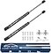 OTUAYAUTO 10 inch Gas Sturts 100N225Lbs Universal Lift Support with Mounting Brackets for Tool Box Shock RV Door Truck Cap Hydraulic Door Hinge Cabinet Camper Shell 2PCS
