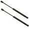 STETIG 2Pcs Rear Back liftgate tailgate Hatch trunk Struts Lift Supports Compatible With MAZDA 3 20102014 Note 4Door Hatchback Supplied without Brackets Shock Gas Spring Prop Rod