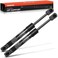 A-Premium APremium Tailgate Rear Trunk Lift Supports Struts Compatible with Volkswagen Models Beetle 2003 2004 2005 2006 2007 2008 Convertible 2Door 2PC Set