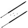 SCHNORKEL 2Pcs 2856 In Rear Back Lift Supports Compatible With HONDA 20052007 ODYSSEY liftgate tailgate Hatch trunk Struts without Power Liftgate 05 06 07
